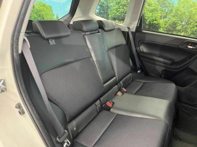 FORESTER-7