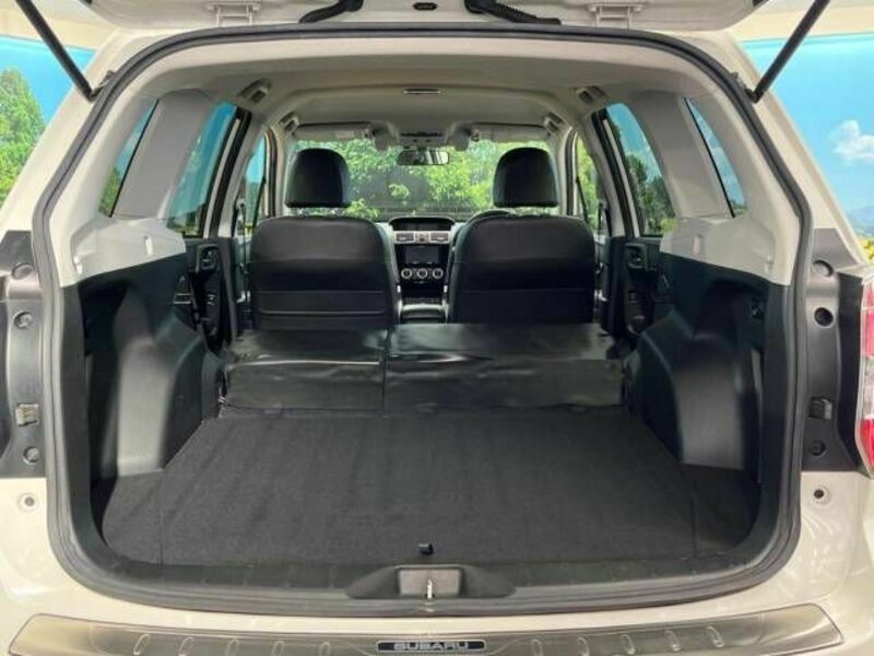 FORESTER-8