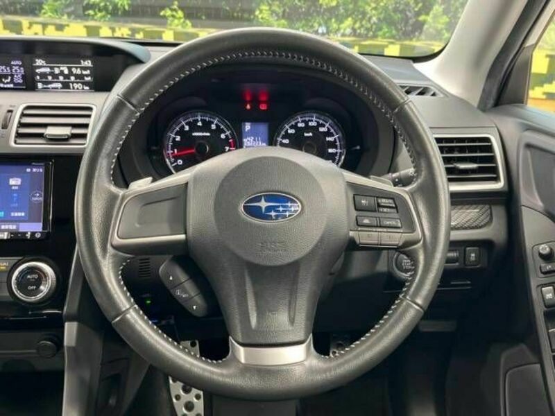FORESTER-9