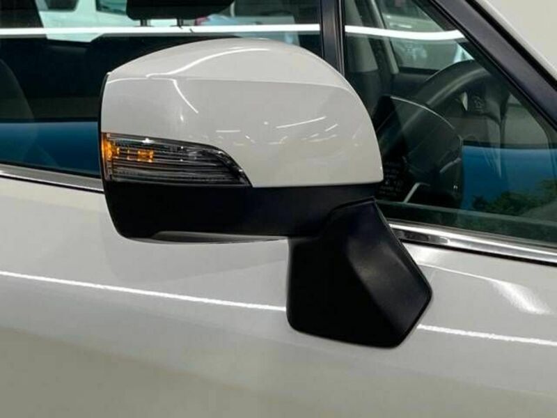 FORESTER-19