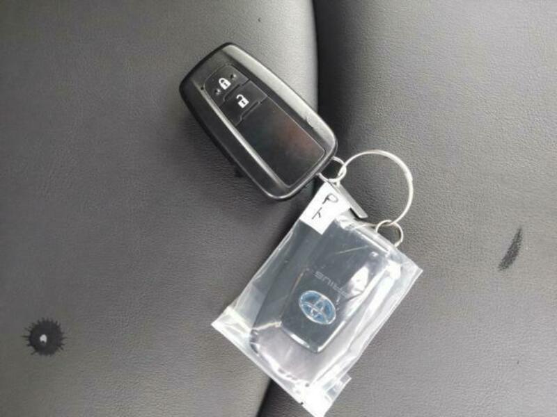 PRIUS-10