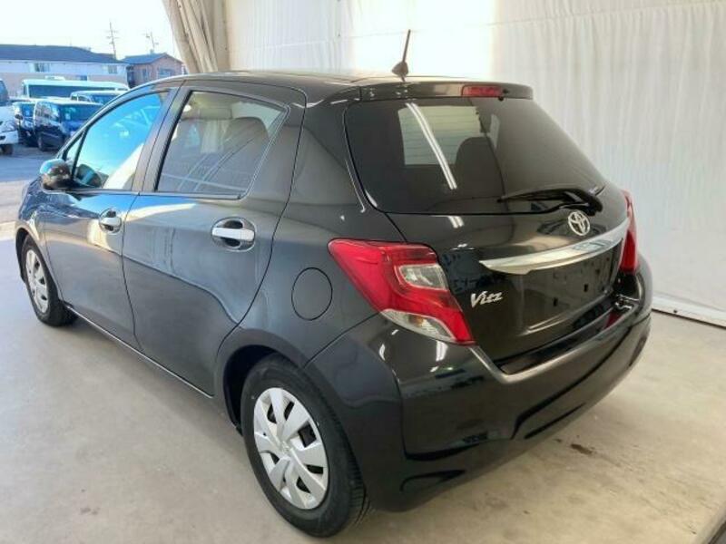 VITZ-1