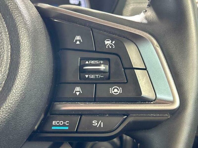 FORESTER-6