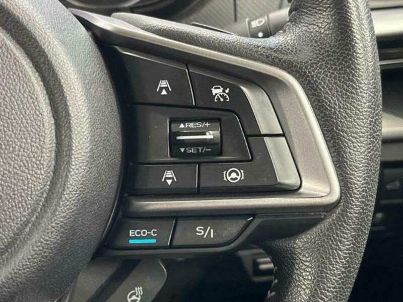 FORESTER-4