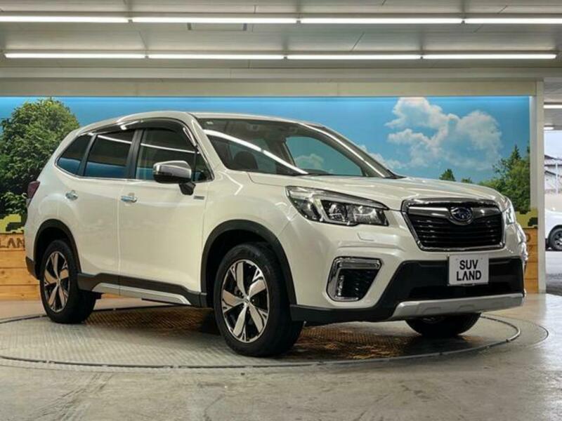 FORESTER-16