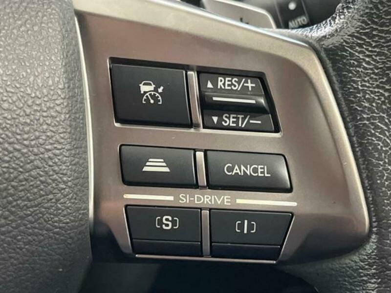 FORESTER-4
