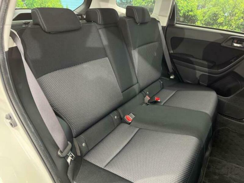 FORESTER-8