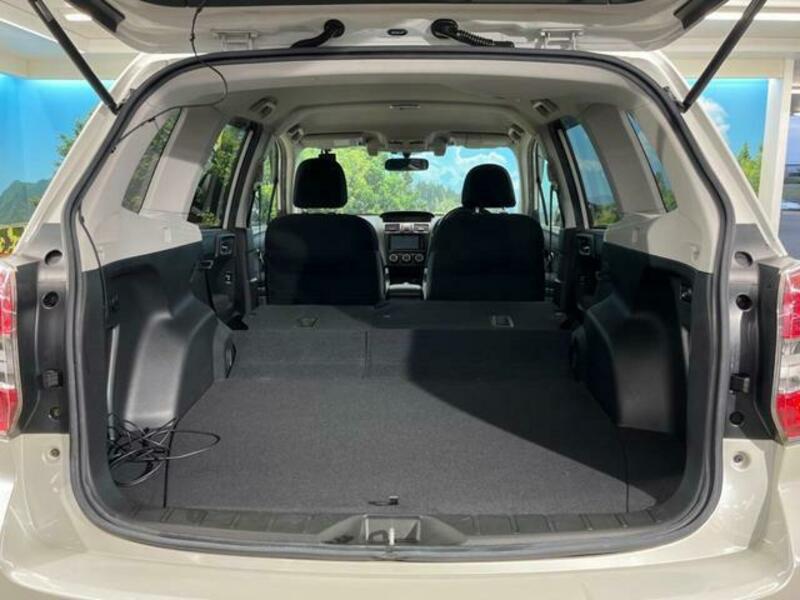 FORESTER-9