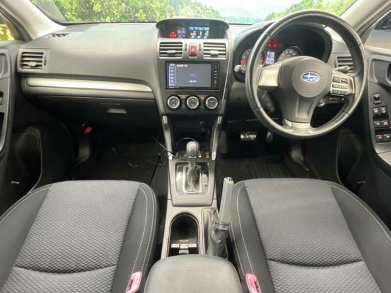 FORESTER-1
