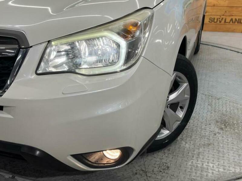 FORESTER-11