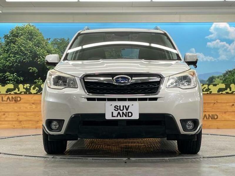 FORESTER-13