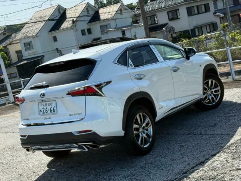 NX