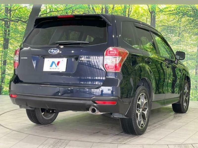 FORESTER-17