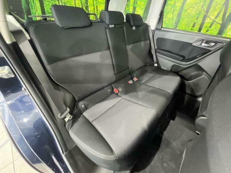 FORESTER-9