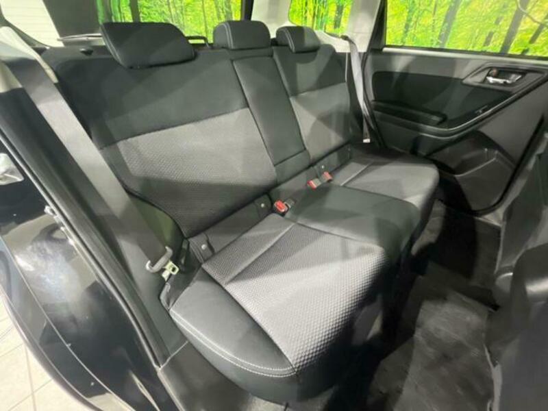FORESTER-9