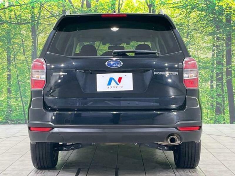 FORESTER-1