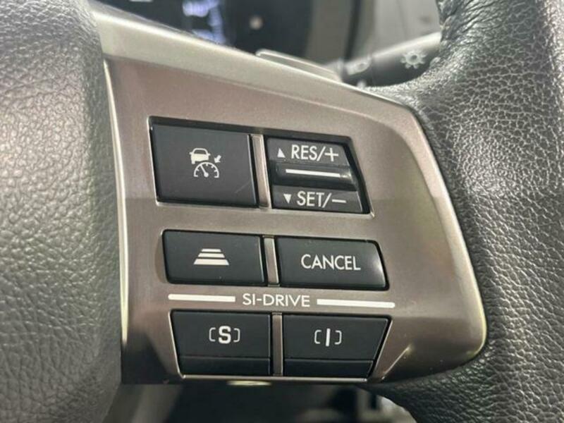 FORESTER-3