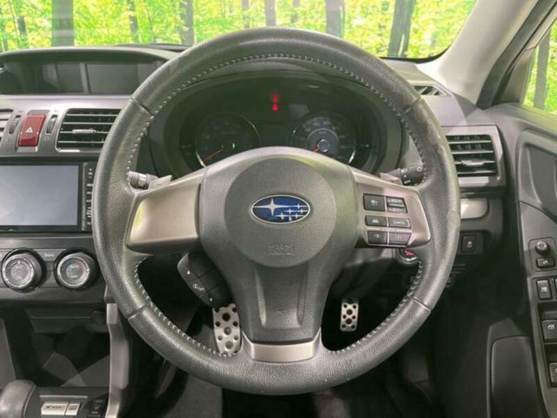 FORESTER-11