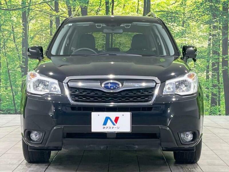 FORESTER-14