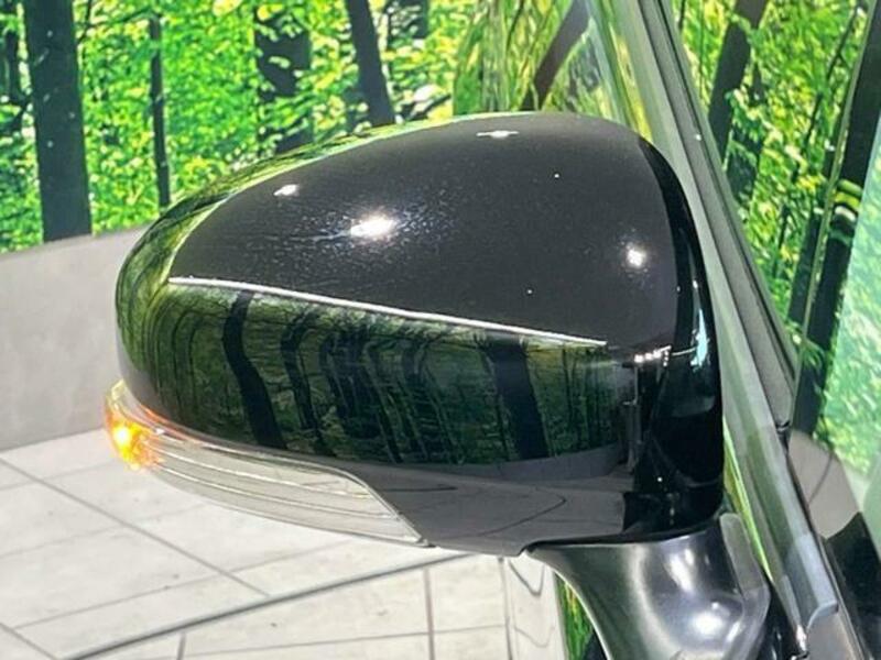 PRIUS-6