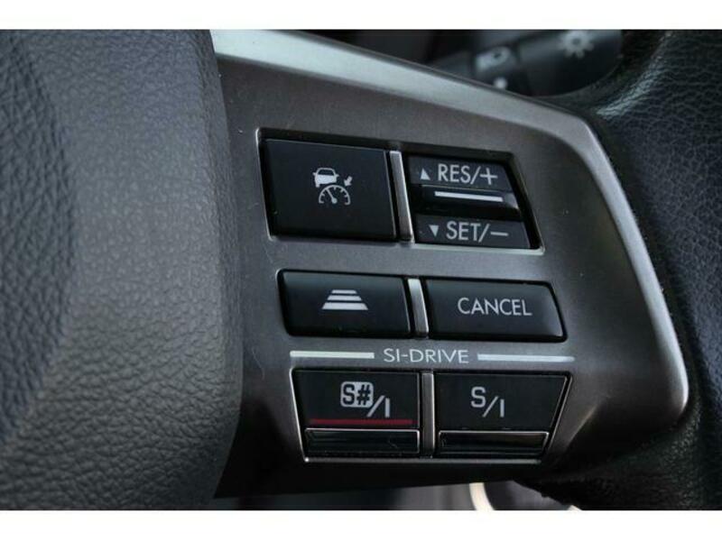 FORESTER-17