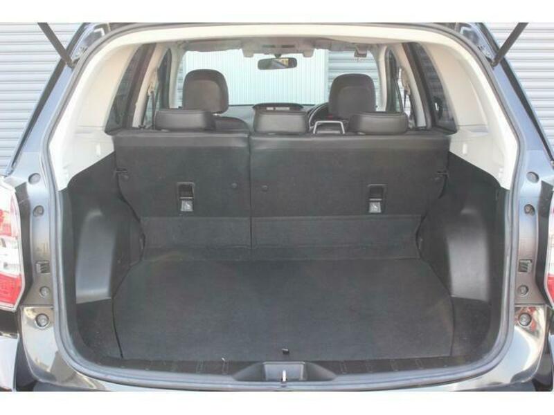 FORESTER-8
