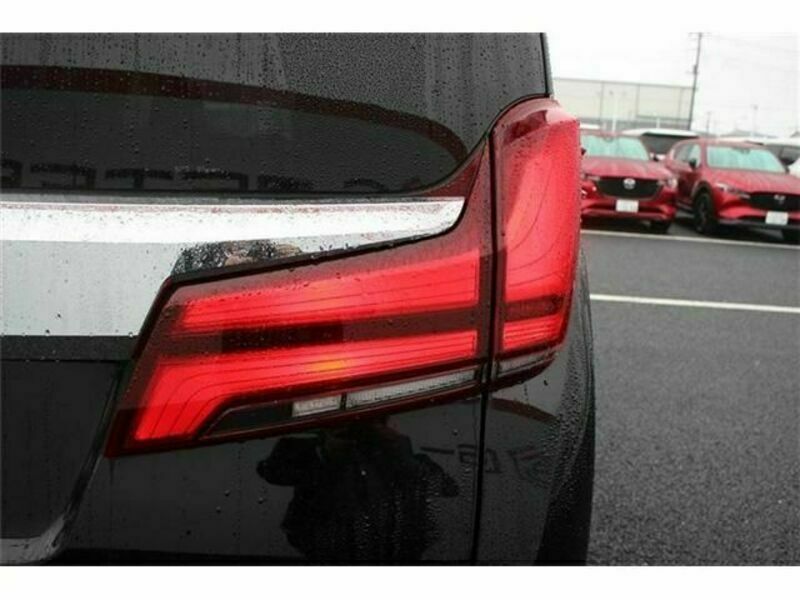 ALPHARD-12