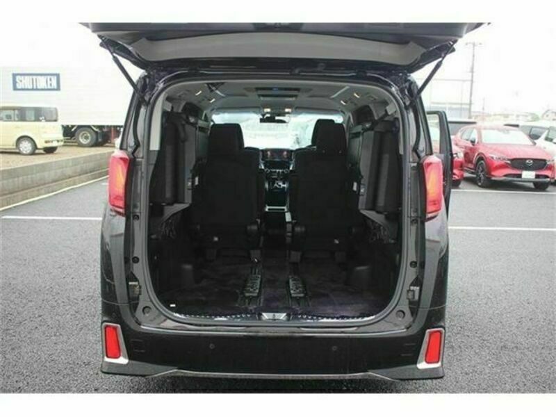 ALPHARD-17