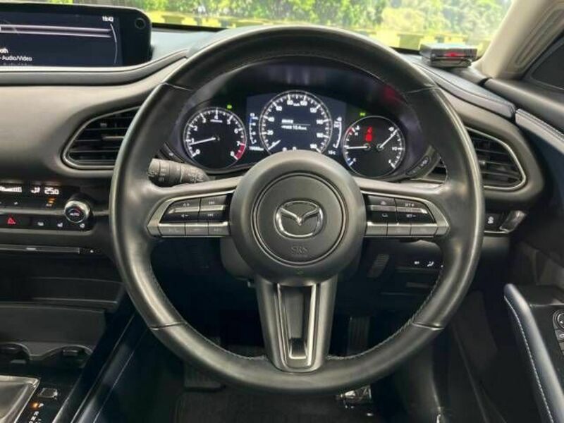 CX-30
