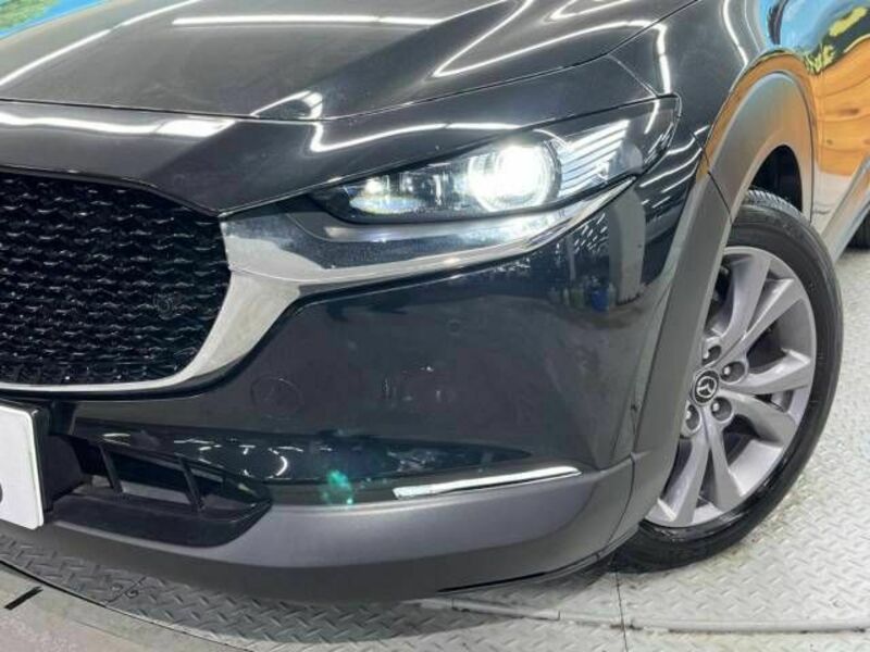 CX-30