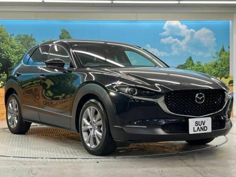 CX-30