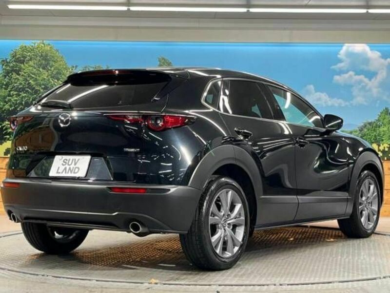 CX-30