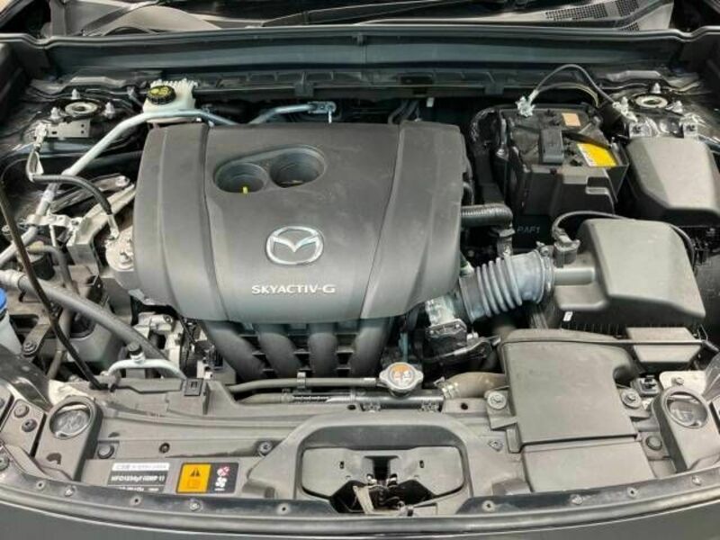 CX-30