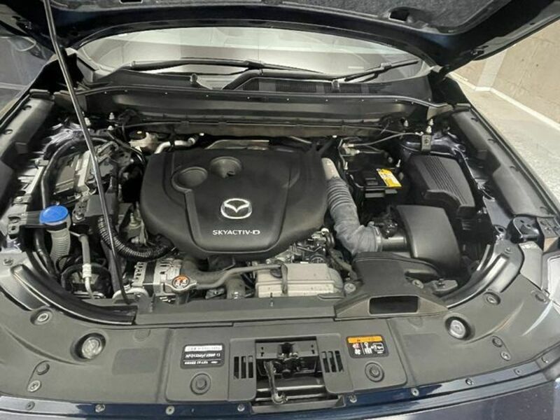 CX-5-22