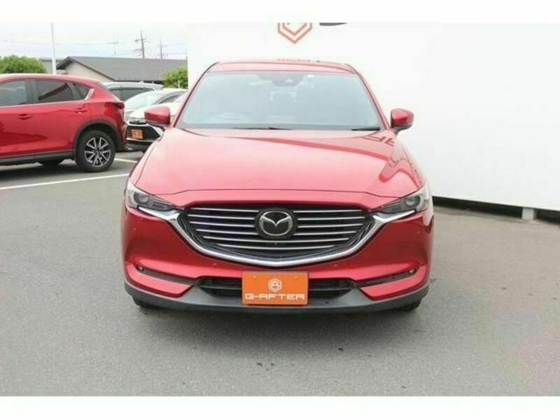 CX-8-6