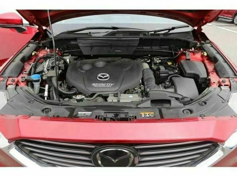 CX-8-19