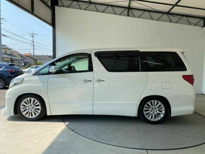 ALPHARD-17