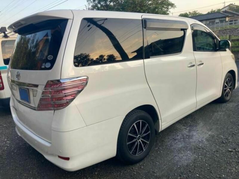 ALPHARD-3