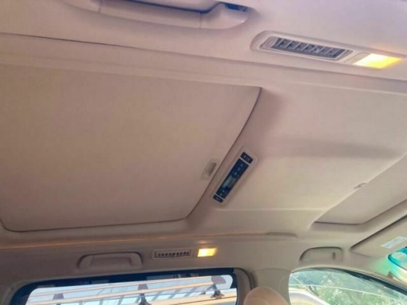 ALPHARD-10