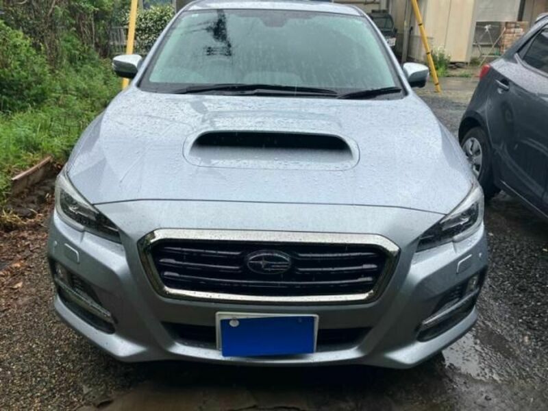 LEVORG-0