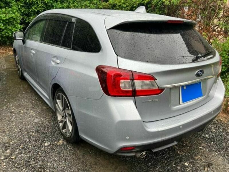 LEVORG