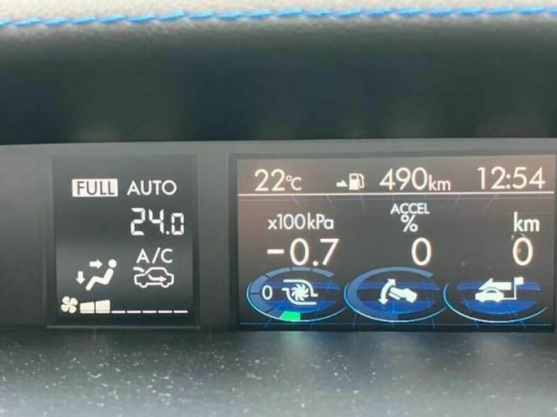LEVORG