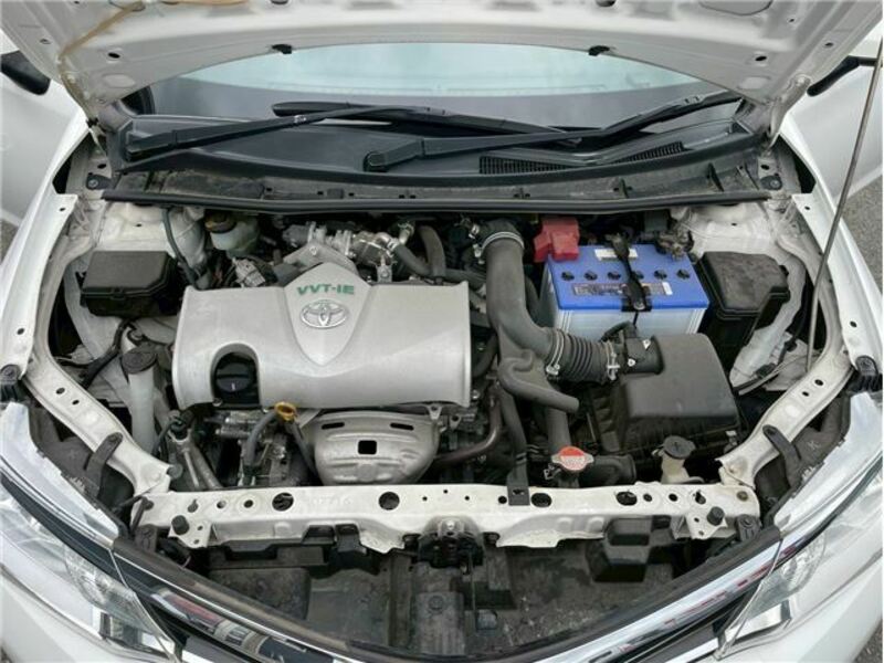 COROLLA FIELDER-18
