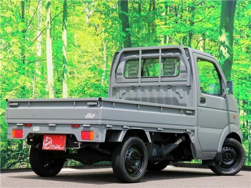 CARRY TRUCK