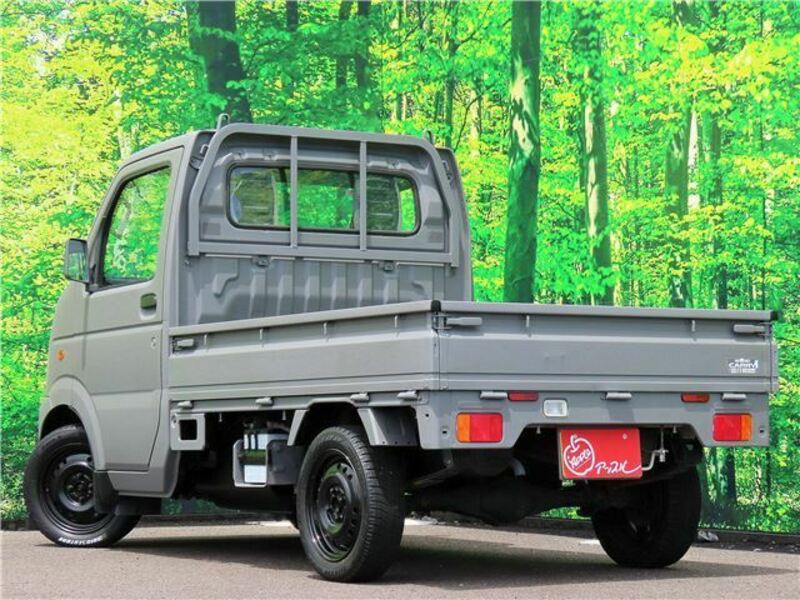 CARRY TRUCK