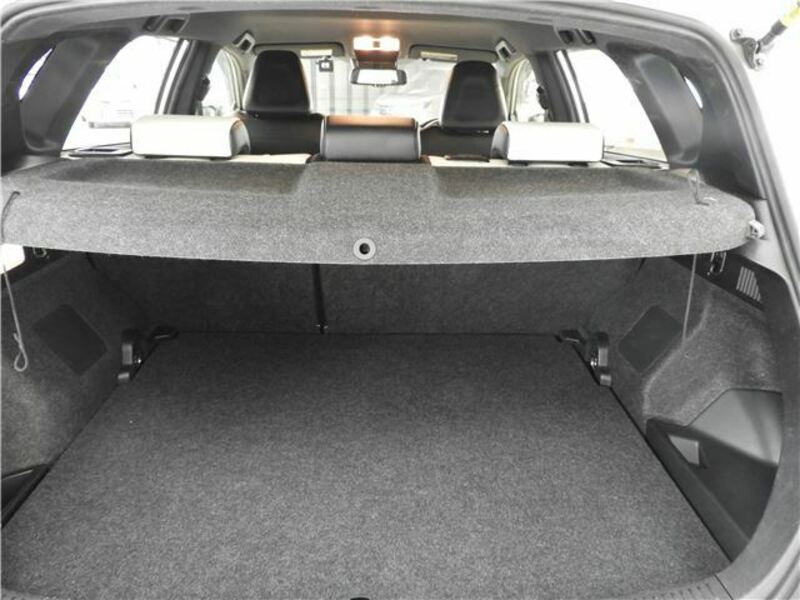 AURIS
