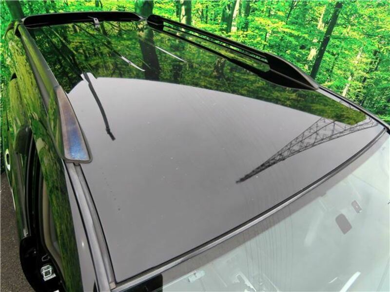 HILUX SURF