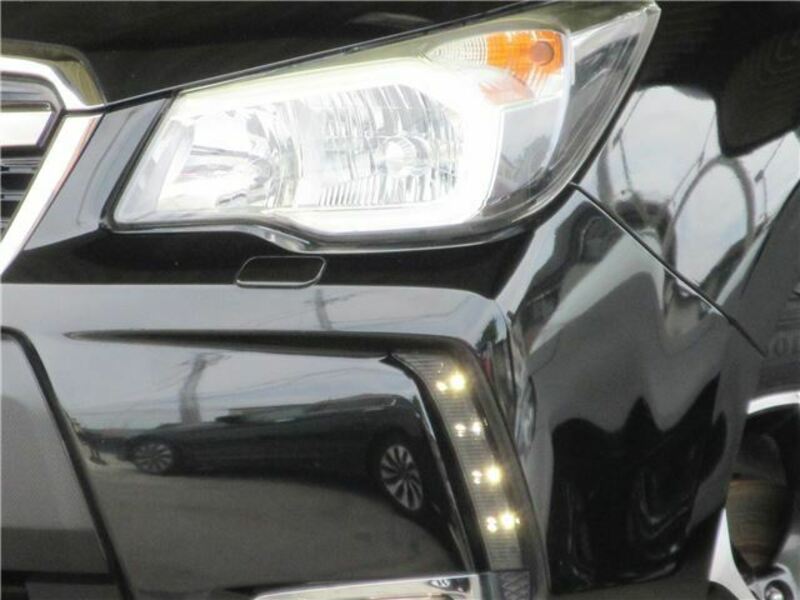 FORESTER-1