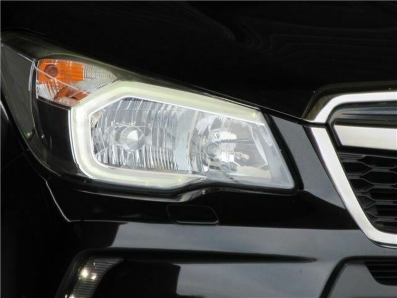 FORESTER-2