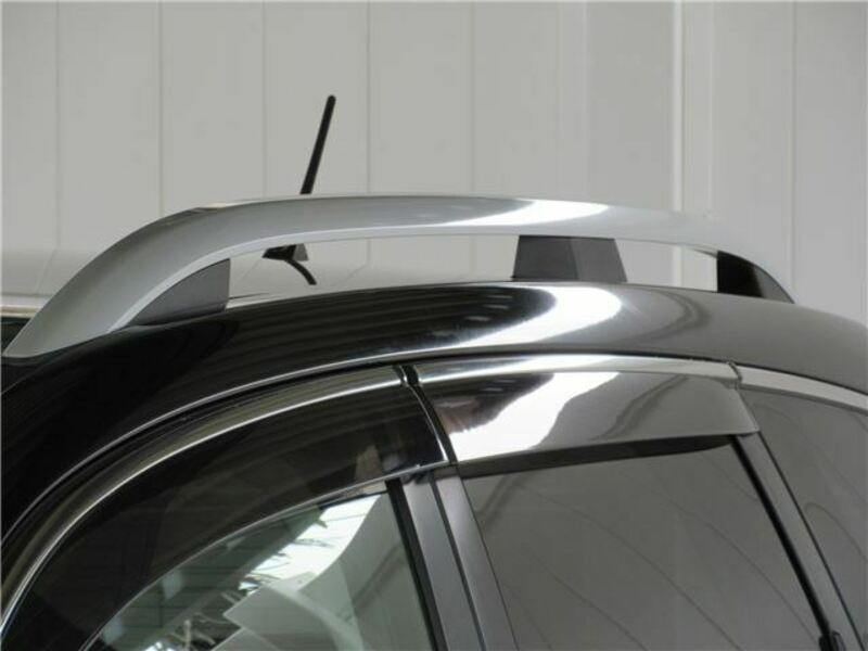 FORESTER-4